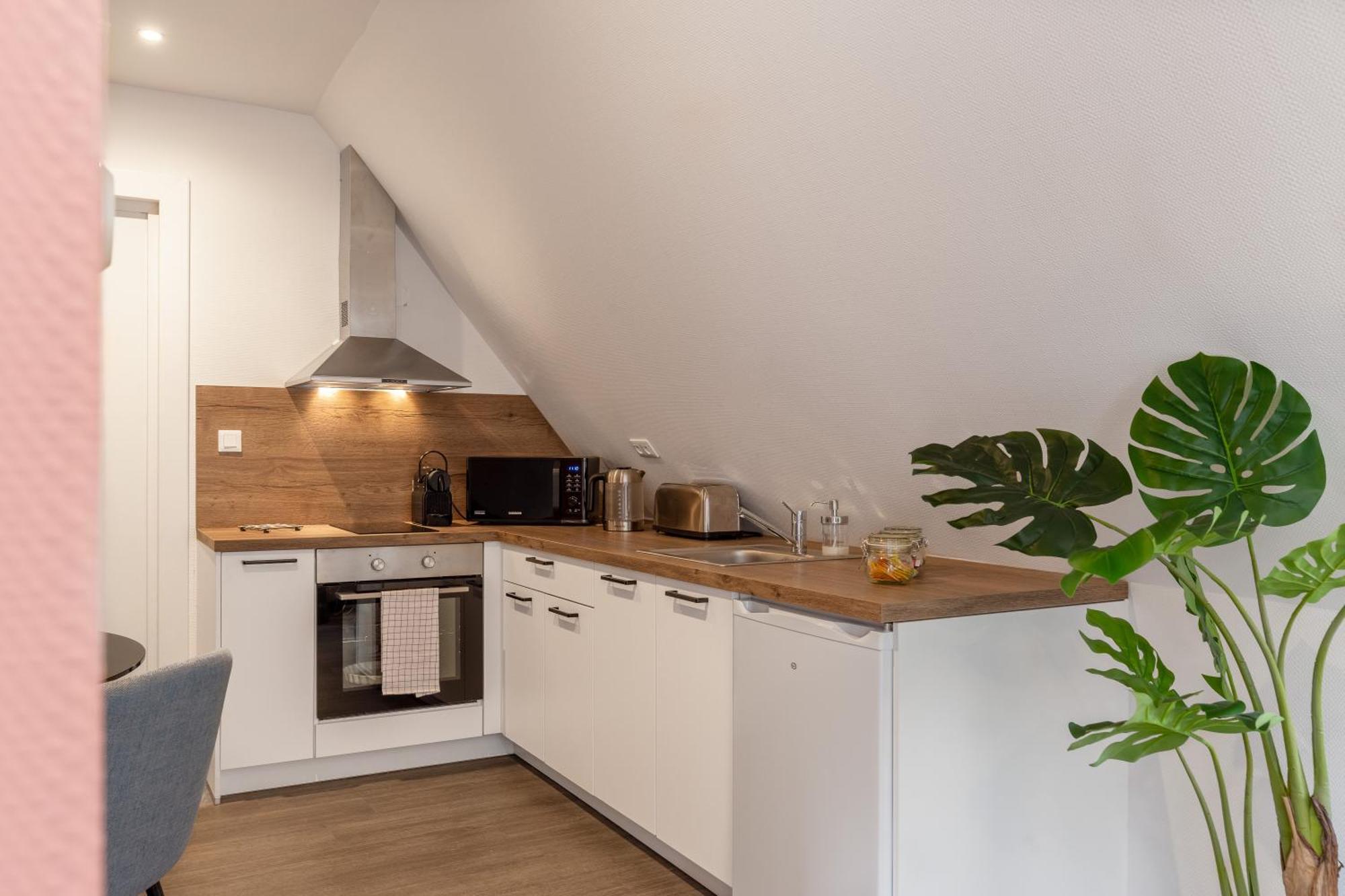 Travel Homes - Rapp, Charm In The Heart Of Colmar Eksteriør billede